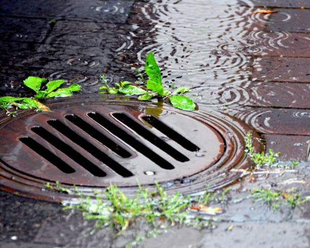 Coral Springs Drain & Sewer Jetting Plumbers