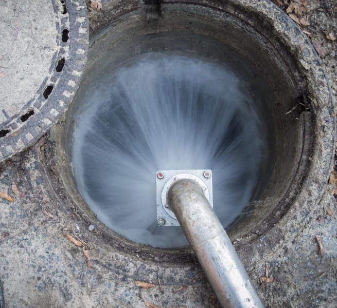Coral Springs Tree Root Issues Plumbers