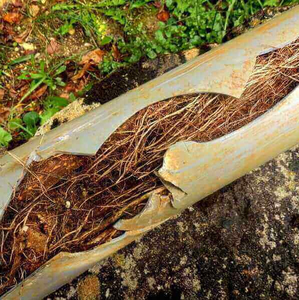 Coral Springs Sewer Repairs & Replacements Plumbers