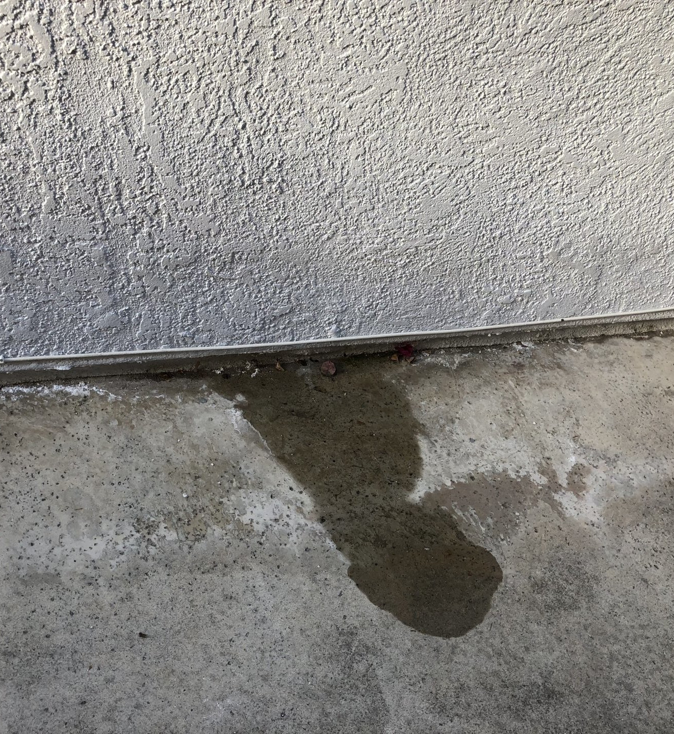 Coral Springs Slab Leak Warning Signs Plumbers