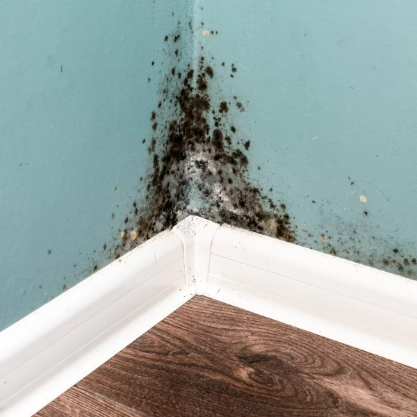 Coral Springs Leak Detection Technology Plumbers